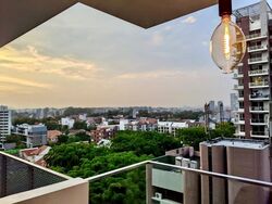 26 Newton (D11), Apartment #528733591
